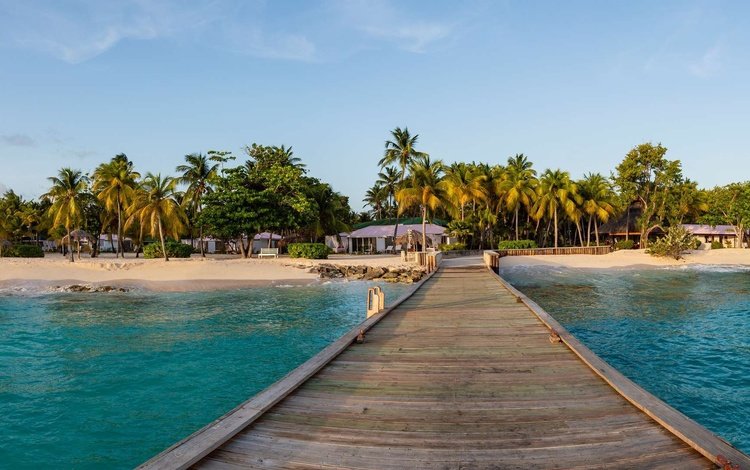 пляж, причал, пальмы, курорт, карибы, beach, pier, palm trees, resort, caribbean