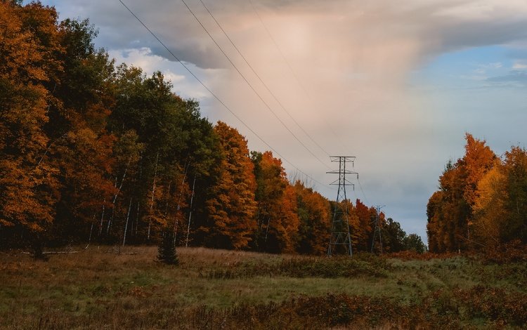 природа, осень, лэп, nature, autumn, power lines