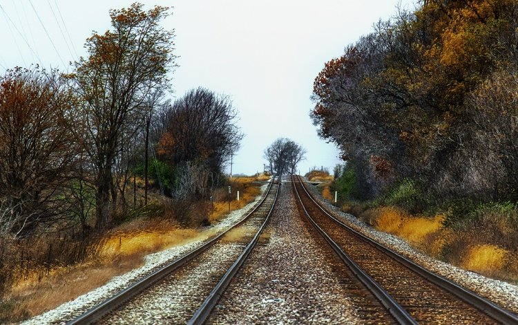 железная дорога, природа, осень, railroad, nature, autumn