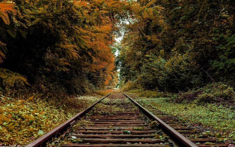 железная дорога, рельсы, осень, railroad, rails, autumn