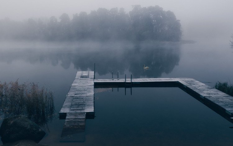 озеро, туман, причал, лебедь, lake, fog, pier, swan