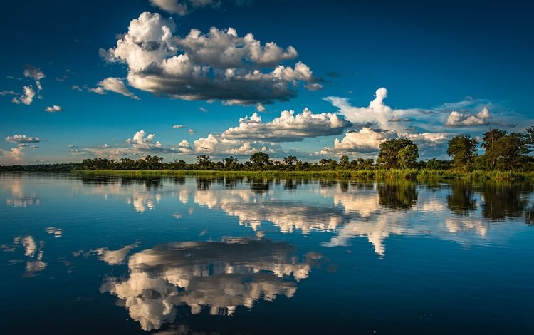 облака, деревья, река, отражение, африка, намибия, река окаванго, okavango river, полоса каприви, caprivi strip, clouds, trees, river, reflection, africa, namibia