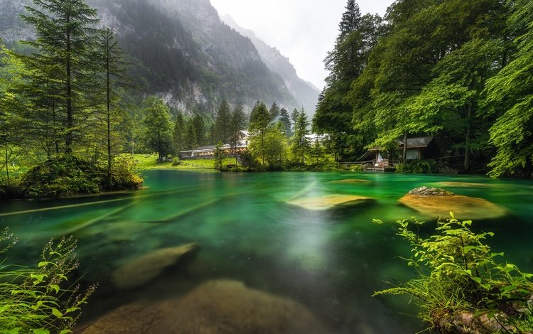 озеро, горы, природа, лес, швейцария, lake, mountains, nature, forest, switzerland