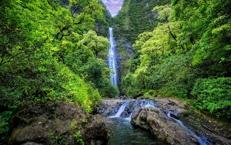деревья, растительность, горы, обрушивается, скалы, kauai, природа, пейзаж, водопад, речка, гаваи, trees, vegetation, mountains, falls, rocks, nature, landscape, waterfall, river, hawaii