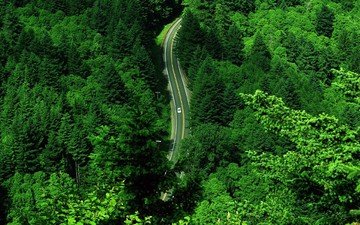 дорога, зелень, лес, пейзаж, машина, вид сверху