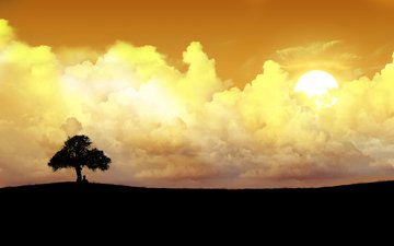 облака, солнце, дерево, одинокое дерево