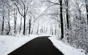 дорога, снег, лес, зима