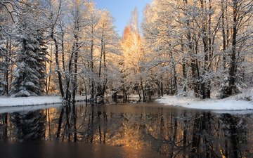 деревья, вода, снег, природа, зима, фото, лёд, зимние обои