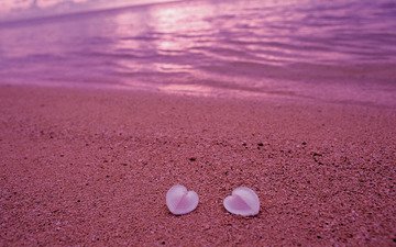 берег, песок, пляж, сердце, ракушки, любовь, розовый