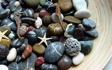 камни, макро, морские