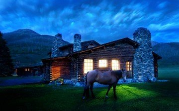 свет, лошадь, дом