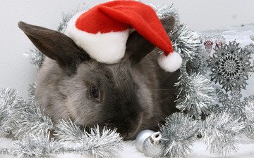новый год, кролик, шапка