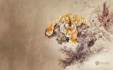 тигр, рисунок, животные
