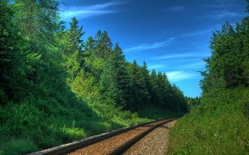 деревья, железная дорога, рельсы, шпалы, природа, фото, поезда, леса, железные дороги, пути, транспорт