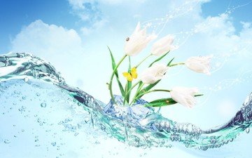 цветы, вода, бабочка, лёд