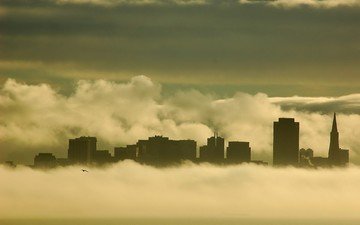 туман, чайка, здания