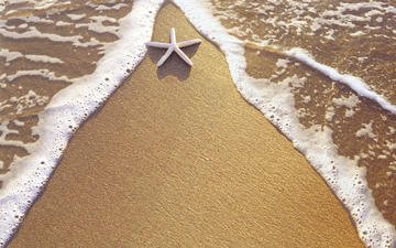 вода, берег, песок, звезда