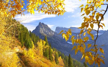 горы, природа, лес, осень, монтана, желтая листва