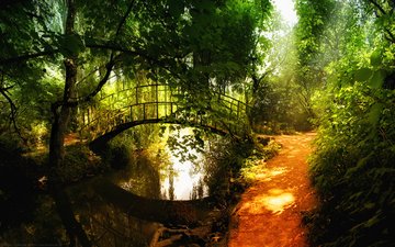 мостик, лес, отражение, речка