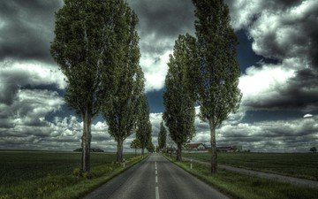 дорога, деревья, дом