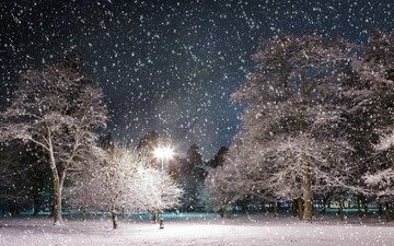 ночь, деревья, снег, зима, парк, фонарь