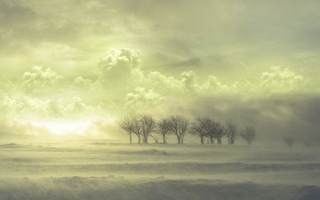 облака, деревья, снег