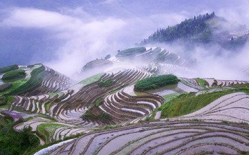 горы, туман, китай, рисовые поля
