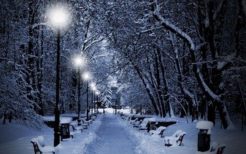 деревья, фонари, огни, вечер, снег, зима, парк, лавочки