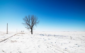небо, дорога, снег, дерево, зима