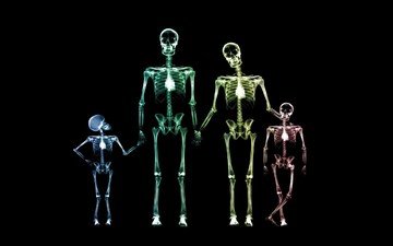 семья, рентген, скелет