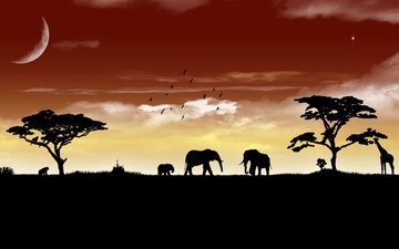 небо, пейзаж, животные, слон, звери, саванна