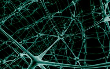 нейроны, сеть, связь