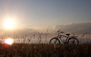 трава, солнце, природа, пейзаж, велосипед