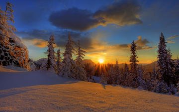 небо, облака, снег, природа, лес, закат, зима, красота, елки