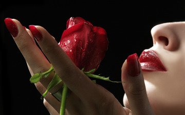 рука, девушка, роза, красная, губы, лицо, ладонь, ногти