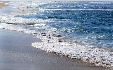 волны, пляж, побережье, прибой