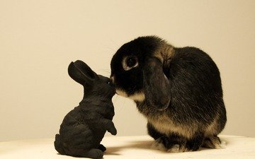игрушка, кролик, зайчик