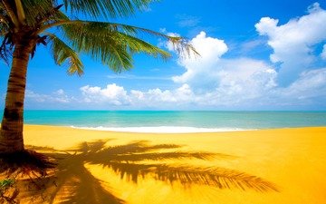 облака, море, песок, пляж, пальма, тропики
