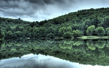 вода, лес, отражение