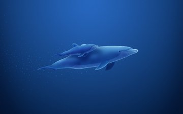 синий, пузыри, дельфин