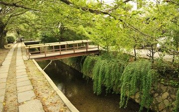 деревья, мост, япония, киото, восток