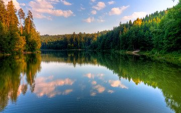 вода, озеро, лес, отражение