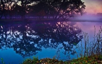 деревья, река, лес, закат, отражение