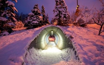 деревья, снег, зима, туннель