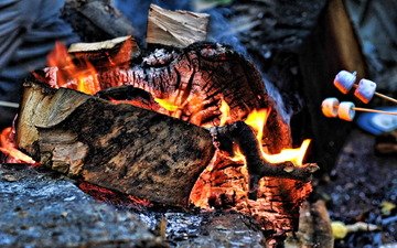 огонь, угли, костёр, древесина