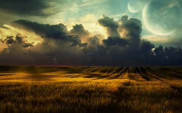 облака, природа, обои, пейзаж, поле, пшеница, fields