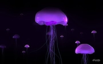 свечение, медузы