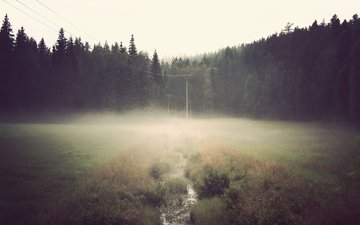 река, лес, туман