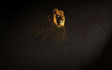 лев, подтёки, поверхность