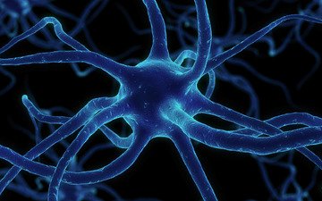 сеть, нейрон, синапсы